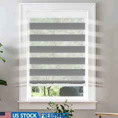 zebra-blinds